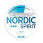 Nordic Spirit Mint Dry Strong