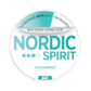 Nordic Spirit Spearmint Dry Strong