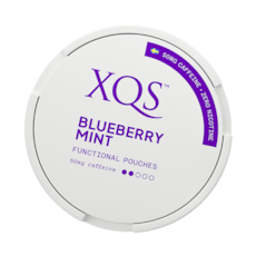 XQS Blueberry Mint 0% Nicotine