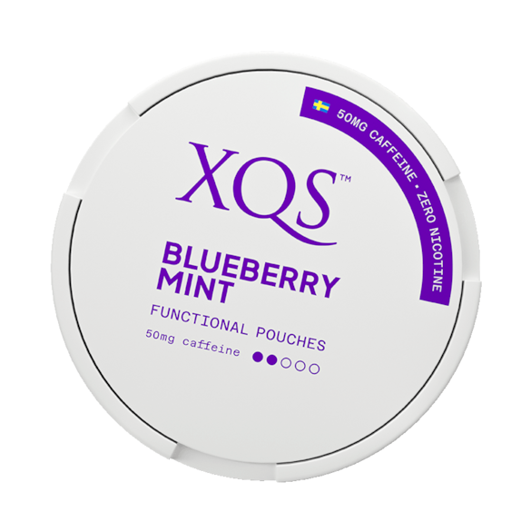 XQS Blueberry Mint 0% Nicotine