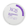 XQS Blueberry Mint 0% Nicotine
