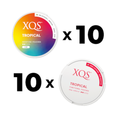 XQS The Switch Tropical 20-Pack