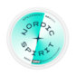 Nordic Spirit Spearmint Dry Mini Regular