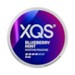 XQS Blueberry Mint Strong