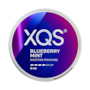 XQS Blueberry Mint Strong