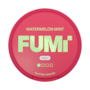 FUMi Watermelon Mint Mini