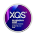 XQS Blueberry Mint 10mg