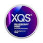 XQS Blueberry Mint 10mg