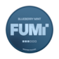 FUMi Blueberry Mint 8mg